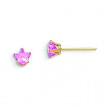 Pink CZ Star Earrings in 14k Yellow Gold