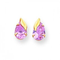 Pink Pear Shaped CZ With Leaf Post Earrings in 14k Yellow Gold