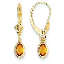 Citrine Leverback Earrings in 14k Yellow Gold