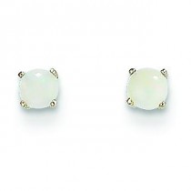Opal Stud Earrings in 14k White Gold