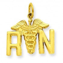 Registered Nurse Charm in 14k Yellow Gold