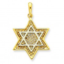 Meshed Star Of David Charm in 14k Two-tone Gold
