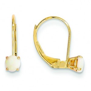 Opal Leverback Earrings in 14k Yellow Gold