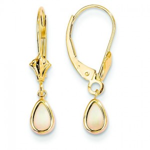 Opal Earrings Goober in 14k Yellow Gold
