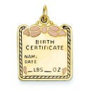Pink Engraveable Birth Certificate Charm in 14k Yellow Gold