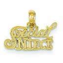 Special Niece Pendant in 14k Yellow Gold