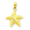 Starfish Pendant in 14k Yellow Gold