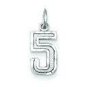 Small Diamond Cut Charm in Sterling Silver
