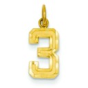 Small Diamond Cut Number 3 Charm in 14k Yellow Gold