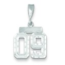 Small Diamond Cut Number 09 Charm in 14k White Gold