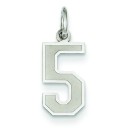 Small Number 5 Charm in 14k White Gold