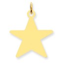 Star Disc Charm in 14k Yellow Gold