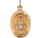Mary Of Holy Spirit Medal in 14k Two-tone Gold